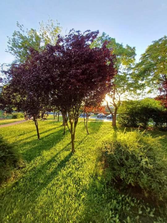 Apartament Stella Częstochowa Kültér fotó
